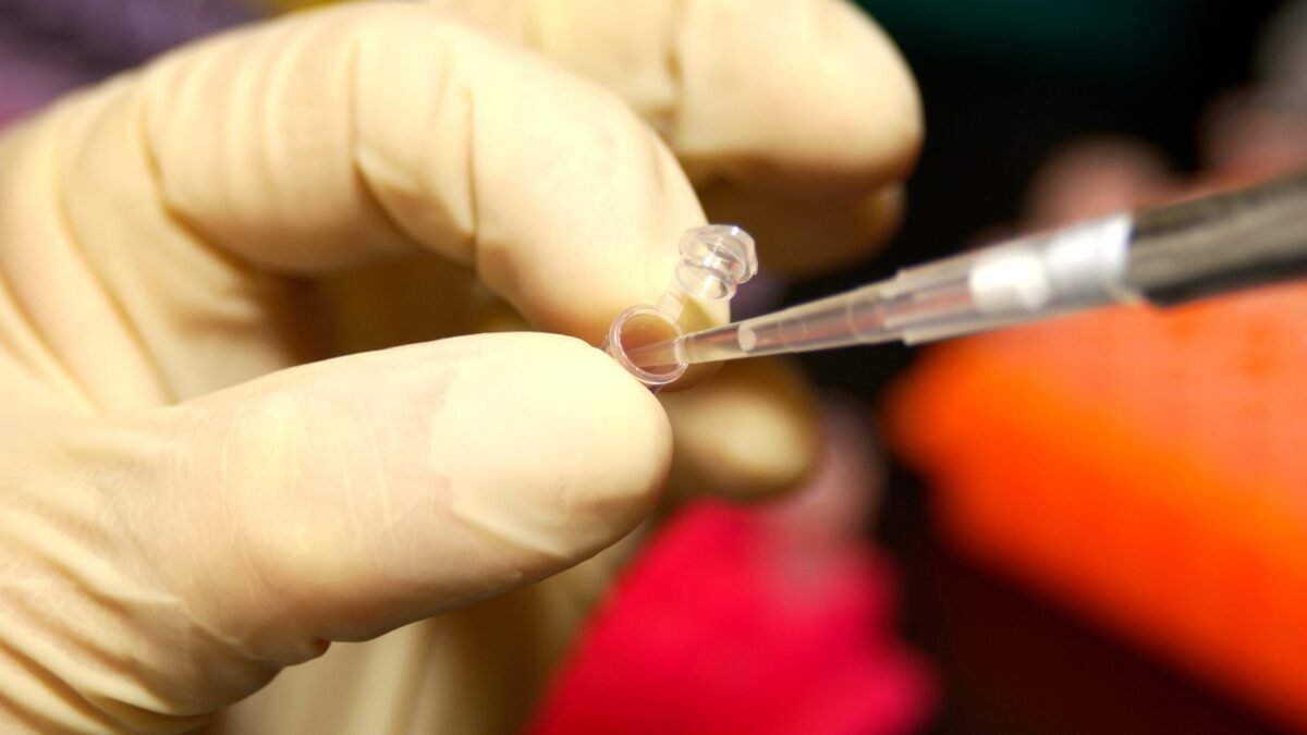 File photo: a researcher handling DNA in a micro test tube with a pipette.