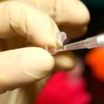 File photo: a researcher handling DNA in a micro test tube with a pipette.