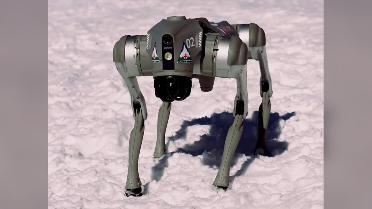 A Unitree Go2 quadruped robot dog — the same model that was presented as the university's own "Orion" innovation at the India AI Impact Summit — standing in snow.