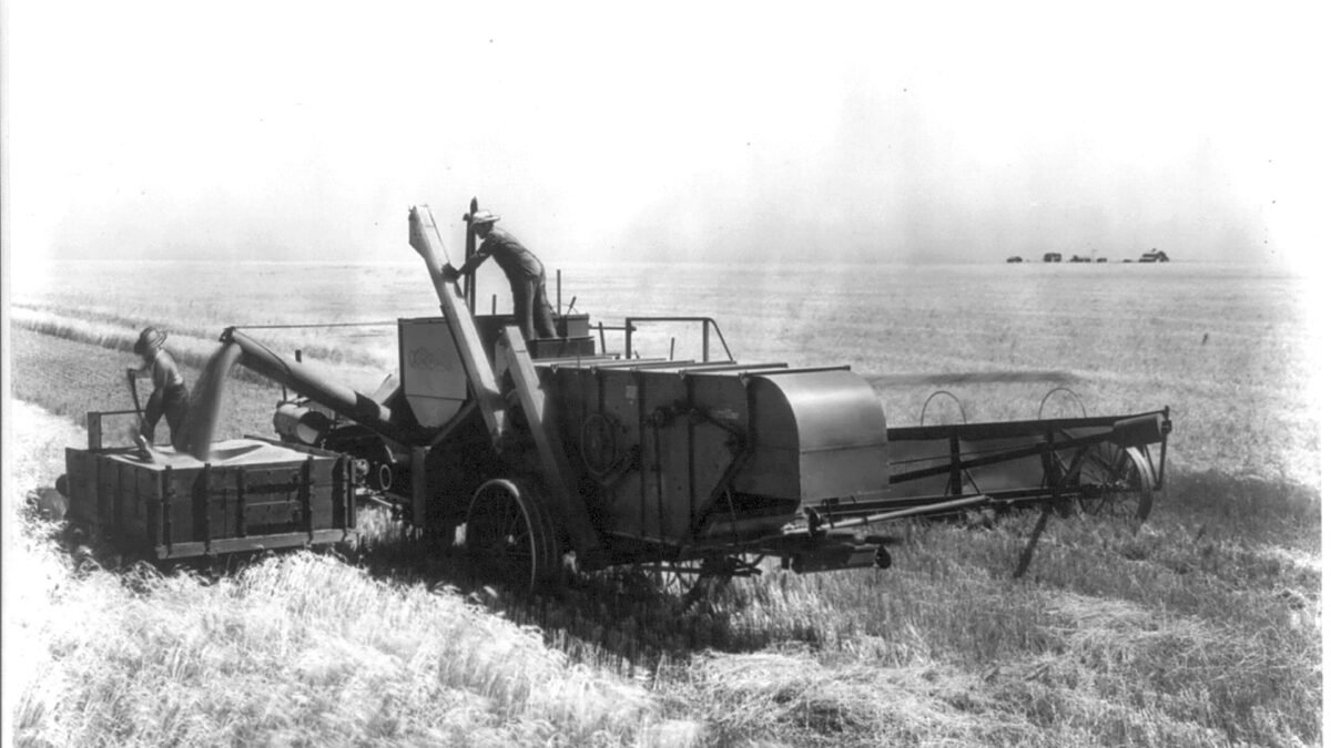 File photo: a combine harvester at work in a Kansas wheat field.