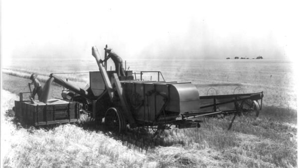 File photo: a combine harvester at work in a Kansas wheat field.