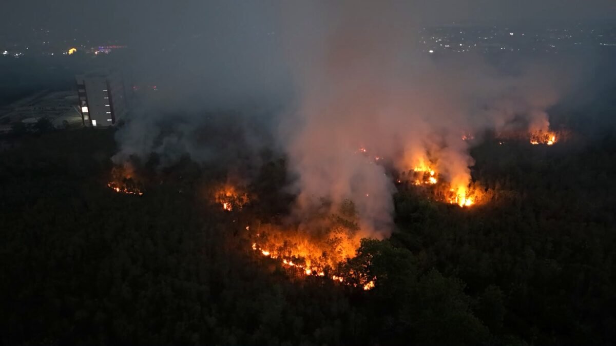 File photo: forest fires burning near Palangka Raya, Central Kalimantan, Indonesia, in August 2026.