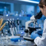 Research scientist examining samples in a modern biotech laboratory, with wheat ears in a glass vessel — editorial image for a story on an experimental celiac disease drug.