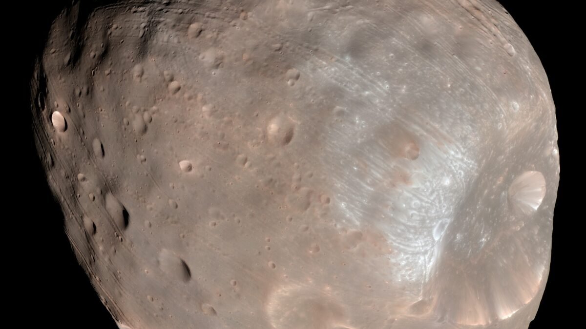 A real photograph of Phobos, the larger of Mars' two moons, the target of Japan's MMX sample-return mission.