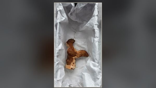Clay rooster-shaped rattle recovered from the 1,800-year-old Roman child's sarcophagus at Tomis, Constanța, Romania